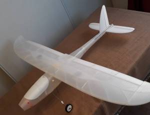  avion RC imprimante 3D  