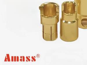 3 paires de Connecteurs 6mm AMASS