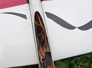 Planeur de voltige String Silence model