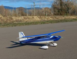 EFLITE VALIANT 1,3m électrique (3S)