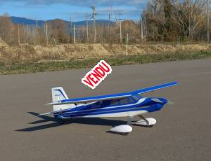 EFLITE VALIANT 1,3m électrique (3S)