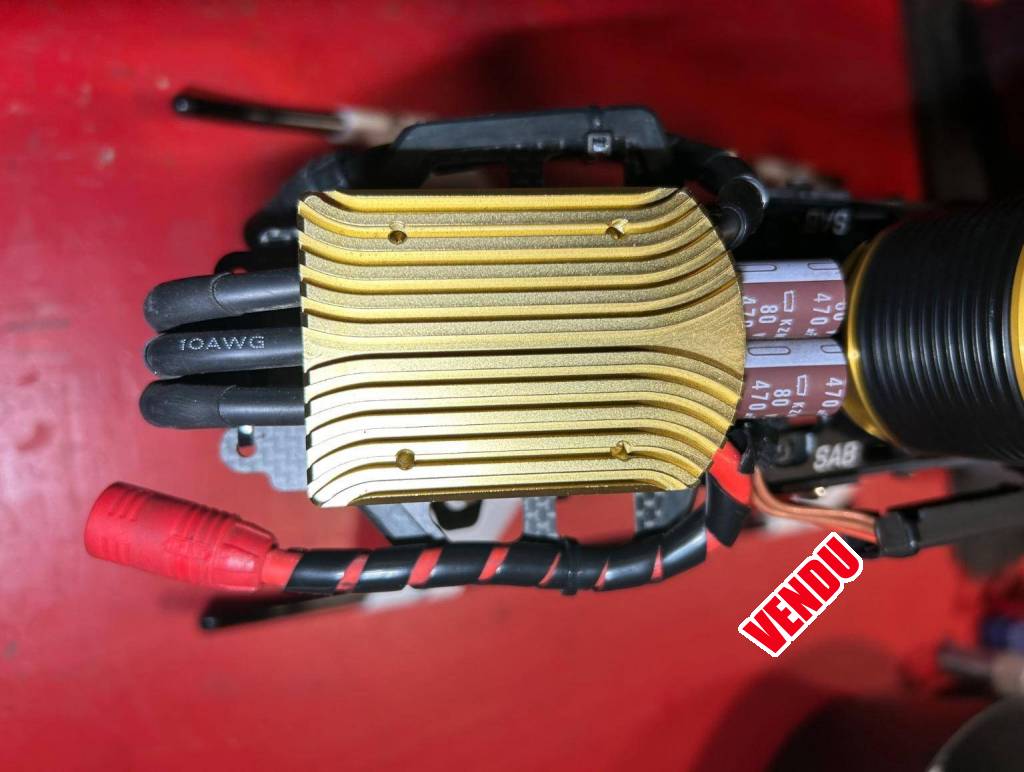 Scorpion tribunus , 130 €