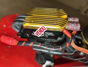 Scorpion tribunus , 130 €