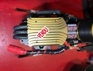 Scorpion tribunus , 130 €