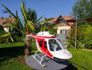 Vente ou Echange Jet Ranger Vario 1/6, 3000 €