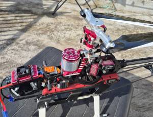 TREX 700 Dominator
