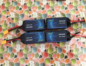 Batterie lipo 6s 5000 ma