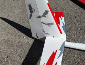 ASW17 Full carbone    FW  