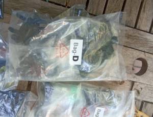 Buggy 1/8  T8E. V3