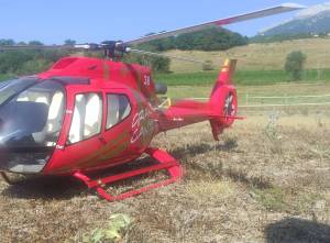 EC 130, 2900 €
